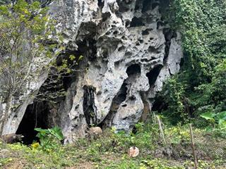 Chủ hạ giá từ 5 tỷ về 4.2 tỷ bán lô đất 2205m2/400m ont tại lương sơn sử dụng gần 4000m. sát núi đá