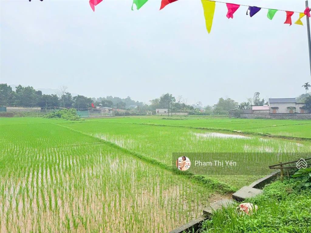 Bán đất full thổ cư nhà sẵn, view cánh đồng núi đá diện tích 933m2 full thổ cư