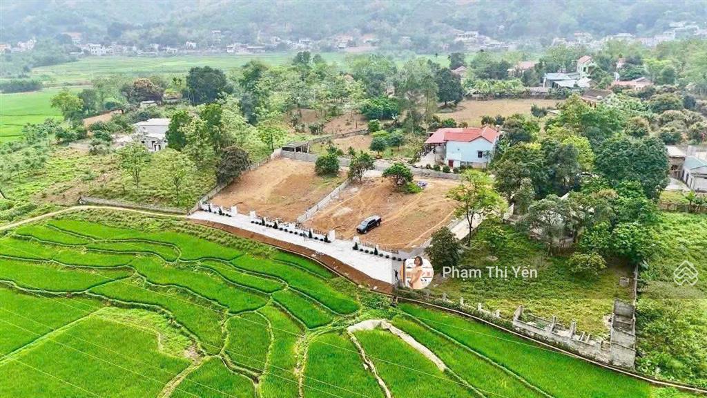 Chủ cần bán đất nghỉ dưỡng 1000m2/100m2 ont tại lương sơn view cánh đồng, lô góc. đất đẹp như ảnh