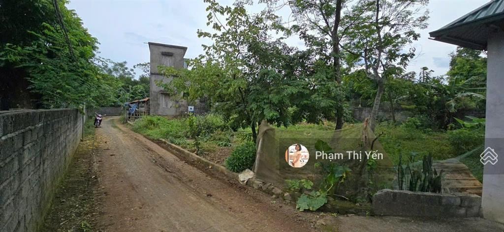 Cần bán lô đất đẹp xã liên sơn, phú thọ. diện tích 387m², trong đó có 200m² thổ cư