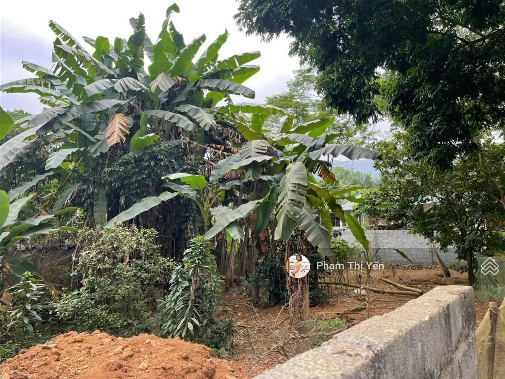 Cần bán lô đất đẹp xã liên sơn, phú thọ. diện tích 387m², trong đó có 200m² thổ cư