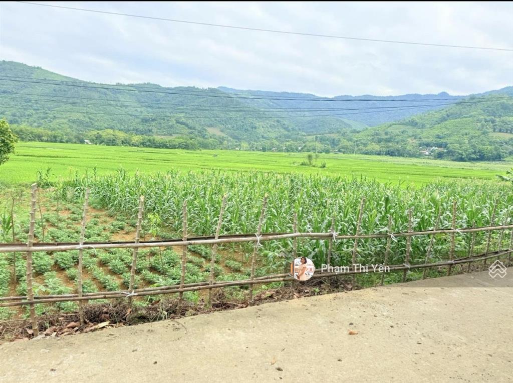 Mảnh đất có view cánh đồng tuyệt đẹp tại xã cư yên  lương sơn  hoà bình diện tích 501m2/120m2 ont