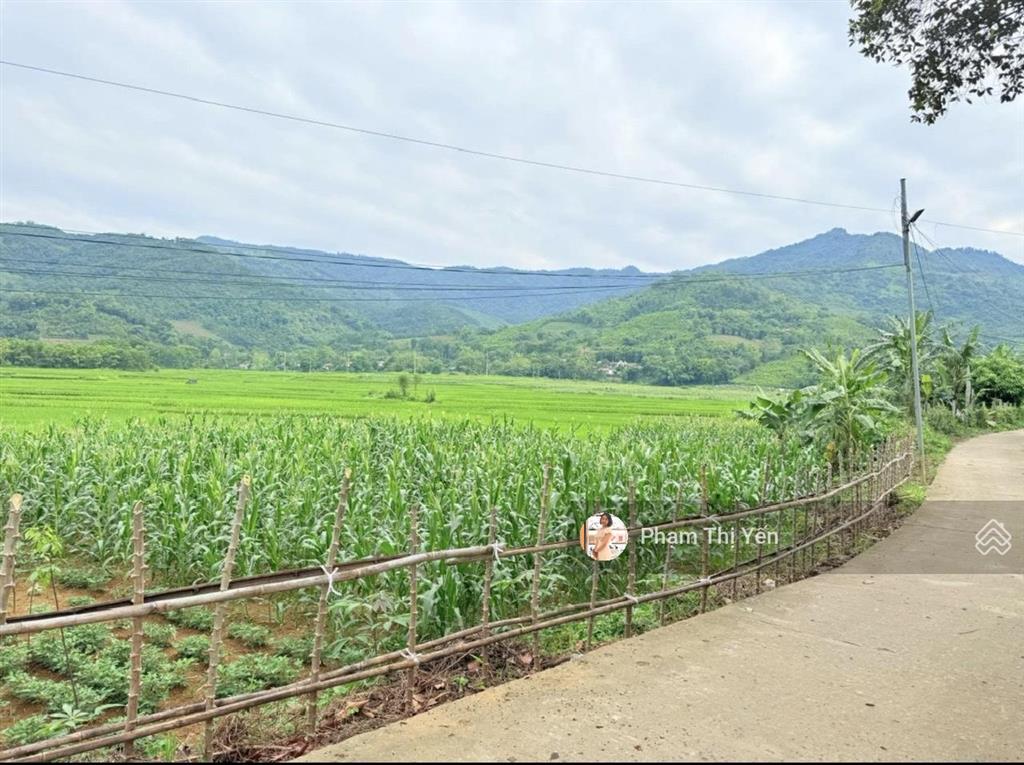 Mảnh đất có view cánh đồng tuyệt đẹp tại xã cư yên  lương sơn  hoà bình diện tích 501m2/120m2 ont