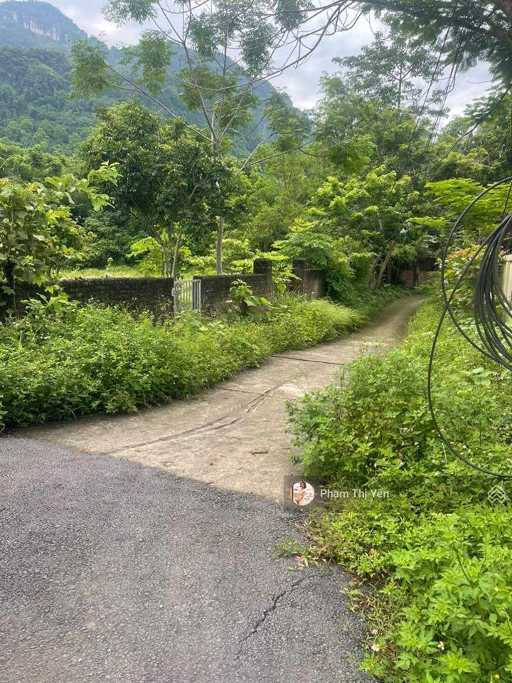 Sát sân golf phoenix 1988m2/400m2 ont mặt tiền 40m. quỹ đất hiếm gần ql6. tiềm năng phân lô cực tốt