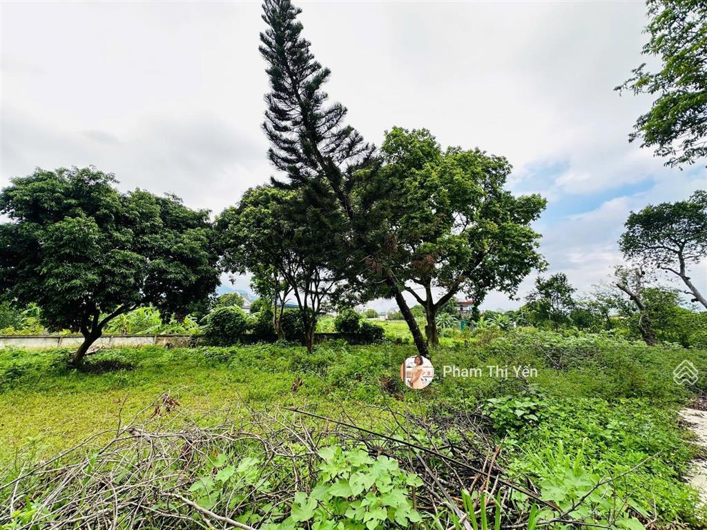 Chủ bán cắt lỗ diện tích 502m2/100m ont tại khu nghỉ dưỡng oasis nhuận trạch, lương sơn. giá 3.5tỷ