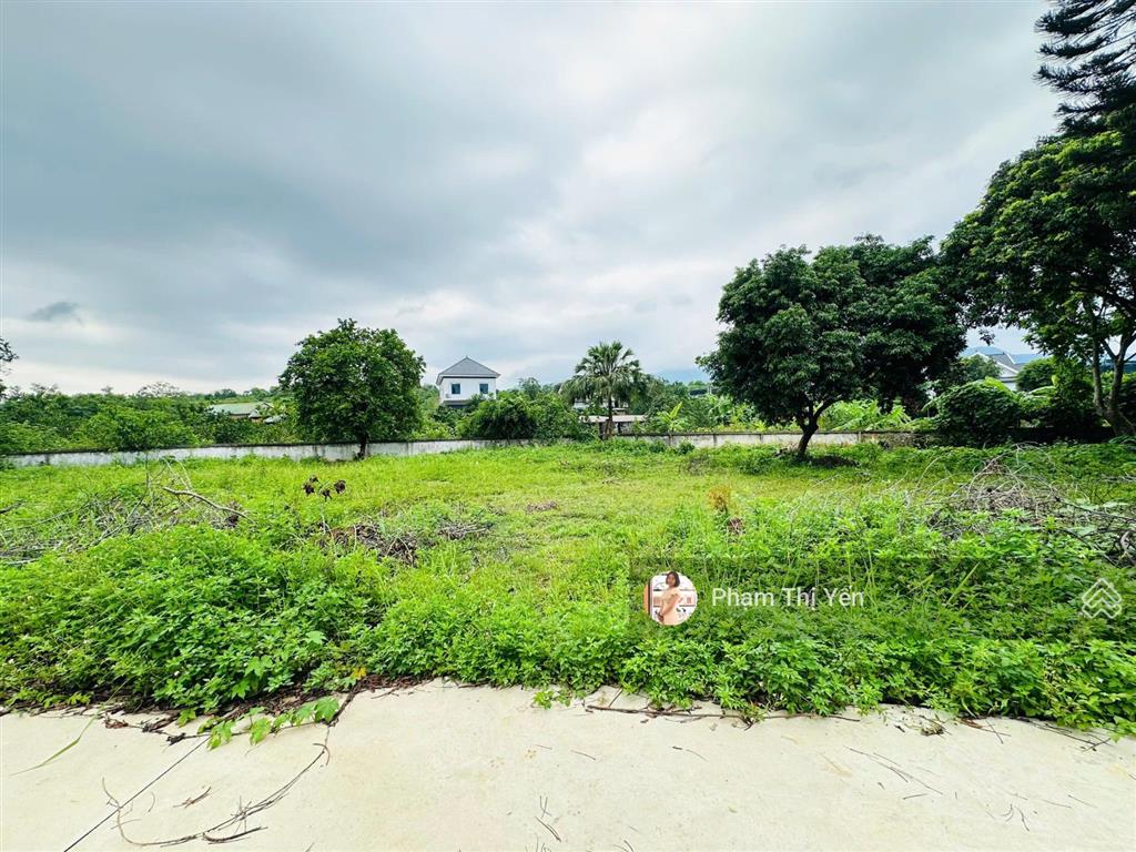 Bán cắt lỗ diện tích 502m2/100m2 ont tại khu nghỉ dưỡng oasis nhuận trạch, lương sơn. giá 3 tỷ