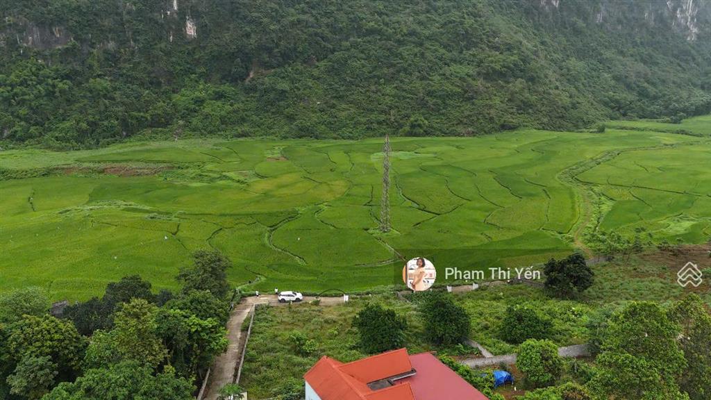 Cần bán đất nghỉ dưỡng 1000m2/100m2 ont tại lương sơn view cánh đồng, lô góc. giá chỉ 2,7 tỷ