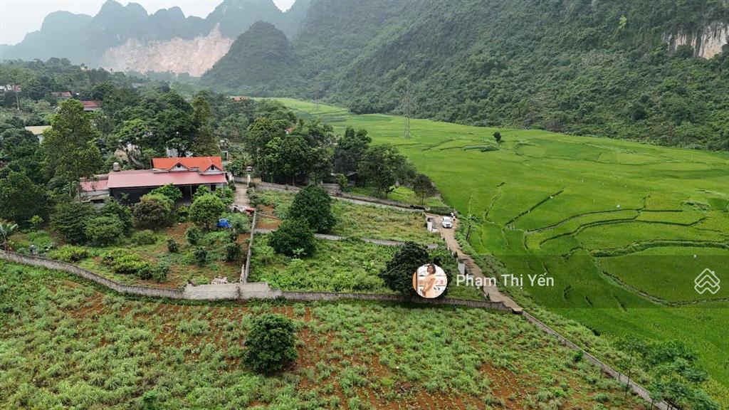 Cần bán đất nghỉ dưỡng 1000m2/100m2 ont tại lương sơn view cánh đồng, lô góc. giá chỉ 2,7 tỷ