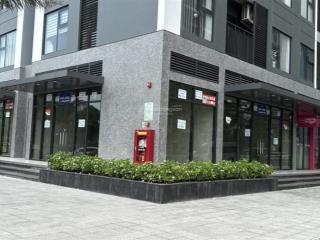Cho thuê căn góc ngã tư 170m2  mt 17m giá tốt smart city