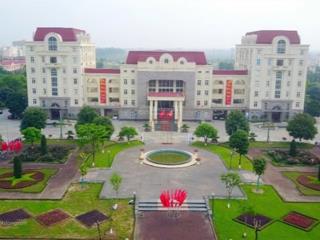 Bán đất đấu giá khu hành chính mê linh cũ ( nay là khu hành chính xã quang minh).