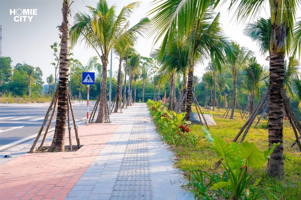 Ra hàng nhanh lô đối diện công viên homie city. giá 2,x tỷ