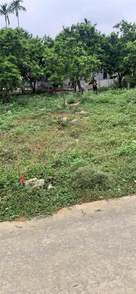 Chỉ 600tr sở hữu lô đất đẹp 125m tại cao dươnglương sơnhòa bình