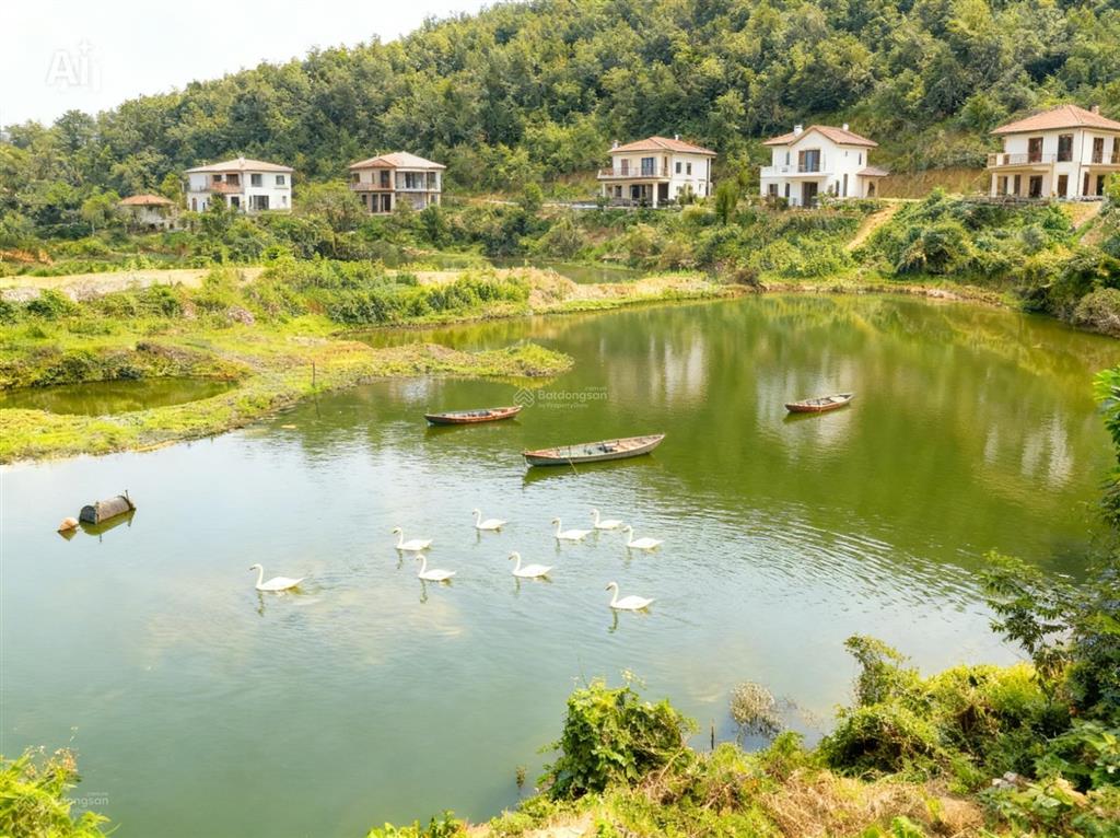 Hơn 3,5ha bám hồ tự nhiên. giá chỉ vài trăm nghìn/mét