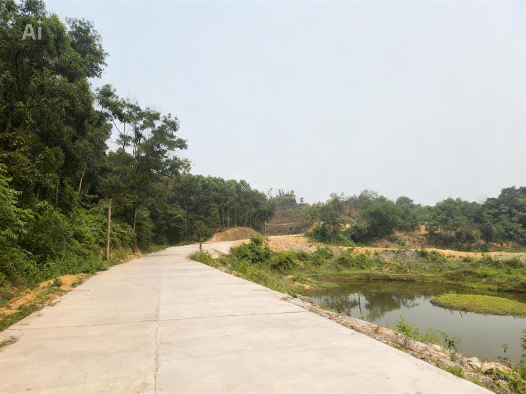 Hơn 3,5ha bám hồ tự nhiên. giá chỉ vài trăm nghìn/mét