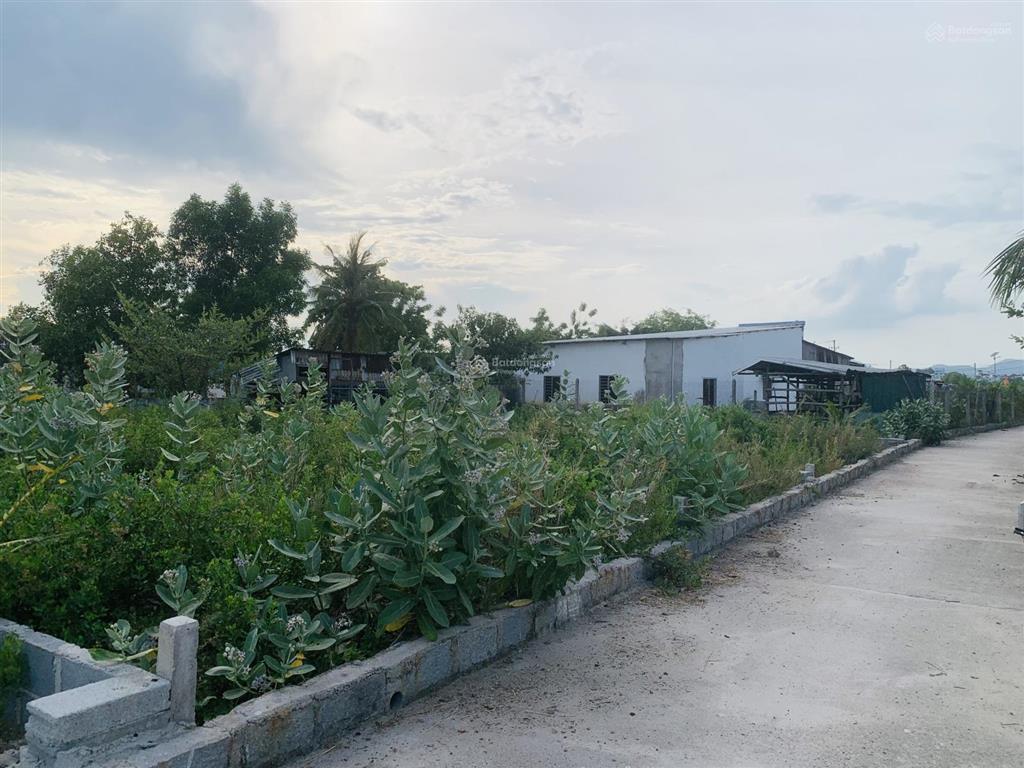 Cần bán gấp lô đất thổ 100% giá chỉ 1,1 tỷ cách cây xăng hoà thuận chỉ 800m tại cam ranh