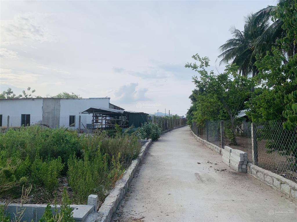 Cần bán gấp lô đất thổ 100% giá chỉ 1,1 tỷ cách cây xăng hoà thuận chỉ 800m tại cam ranh