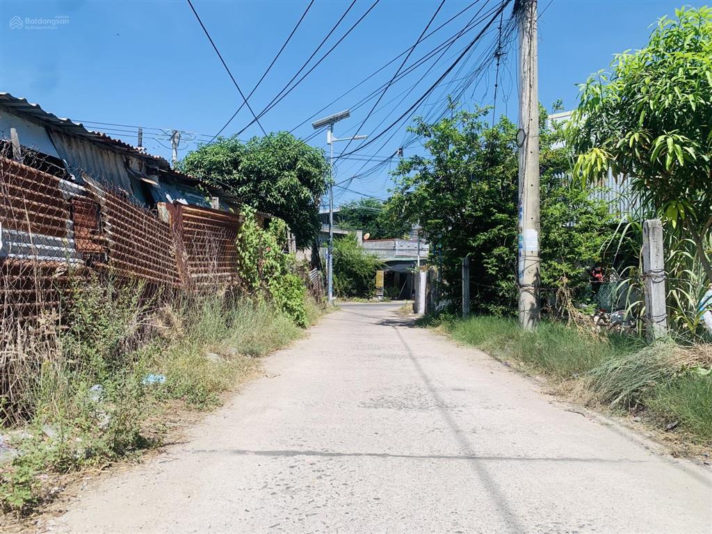 Cần bán gấp lô đất thổ cư, ngang 59m cách chợ ninh xuân chỉ 600m tại cam ranh