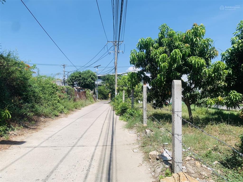 Cần bán gấp lô đất thổ cư, ngang 59m cách chợ ninh xuân chỉ 600m tại cam ranh