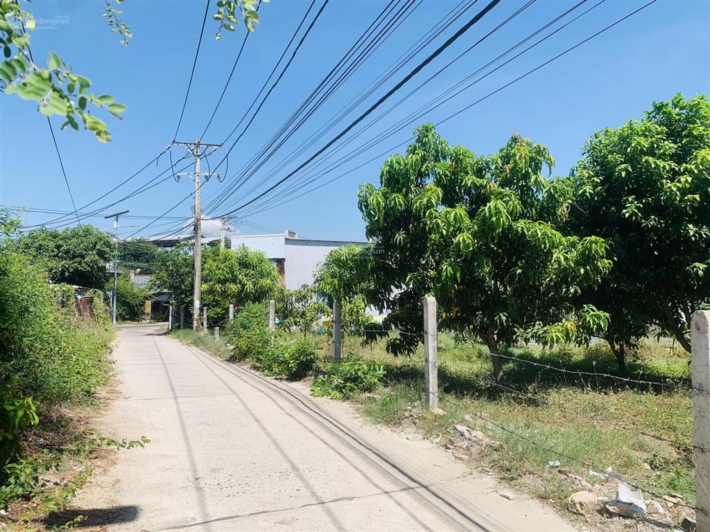 Cần bán gấp lô đất thổ cư, ngang 59m cách chợ ninh xuân chỉ 600m tại cam ranh