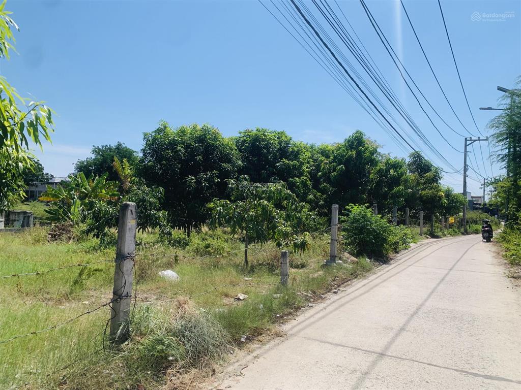 Cần bán gấp lô đất thổ cư, ngang 59m cách chợ ninh xuân chỉ 600m tại cam ranh