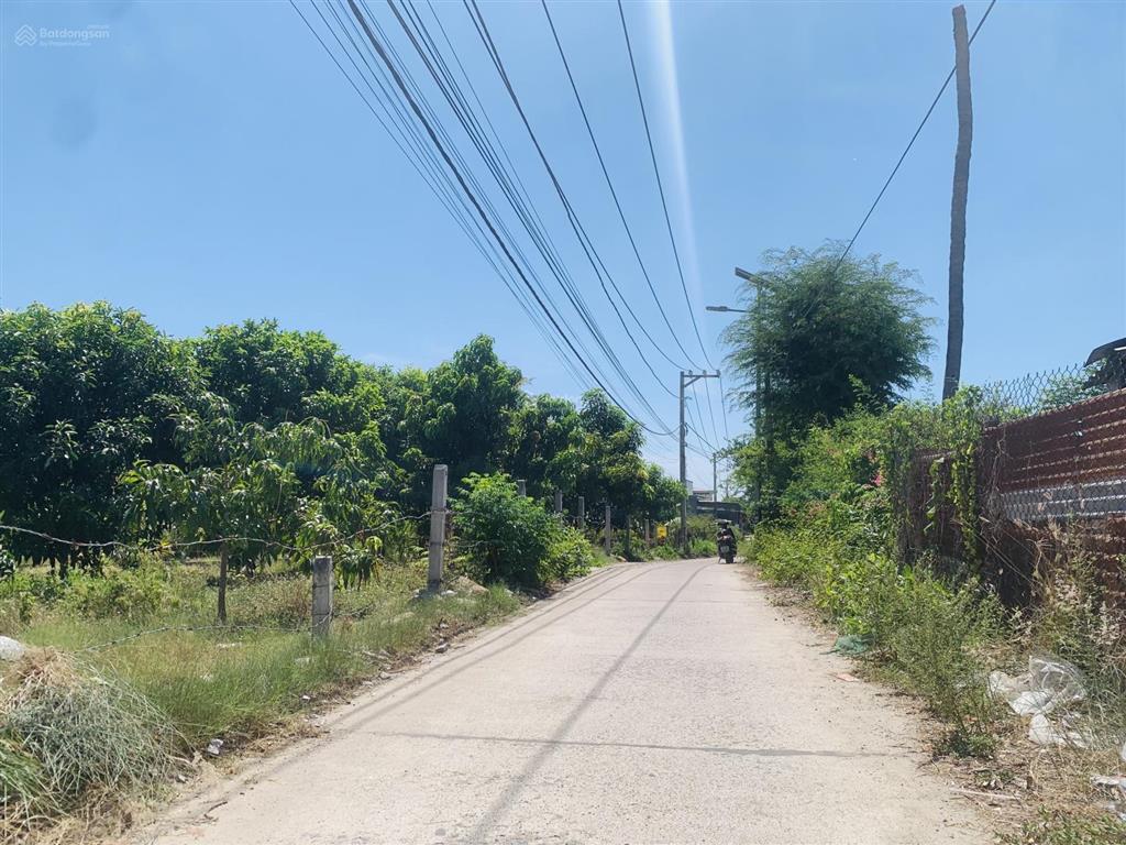 Cần bán gấp lô đất thổ cư, ngang 59m cách chợ ninh xuân chỉ 600m tại cam ranh