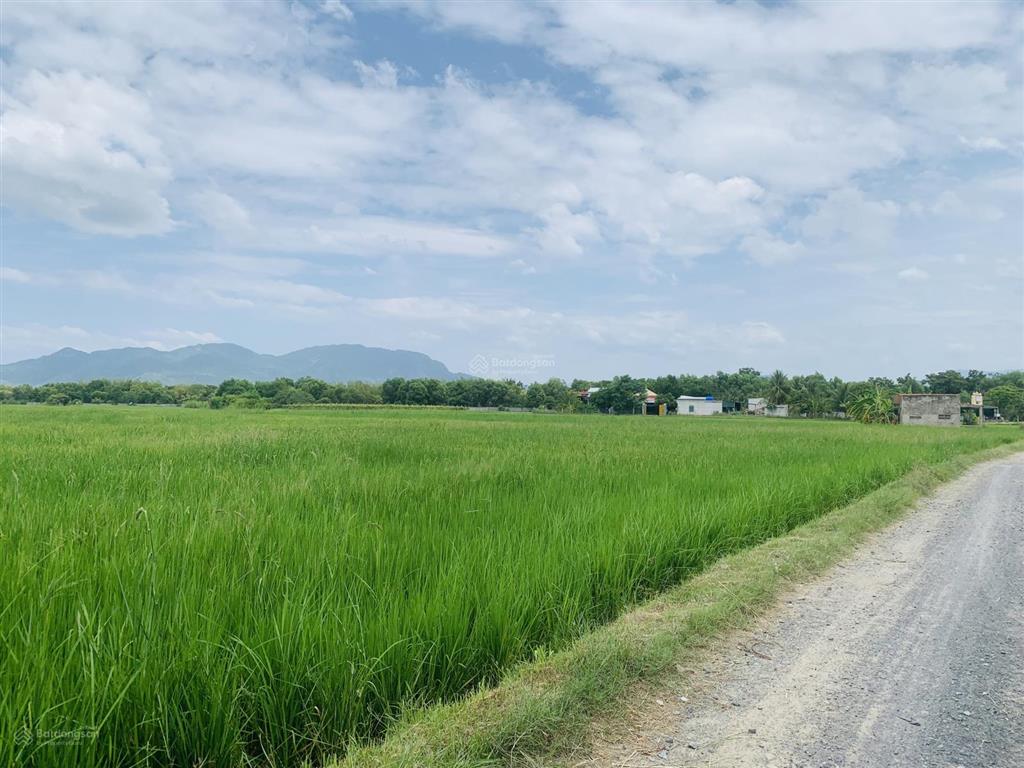 Cần bán lô đất giá 1tr/m2, đất cây hàng năm, bám đường liên thôn 4m, ngang 55m tại bắc cam ranh