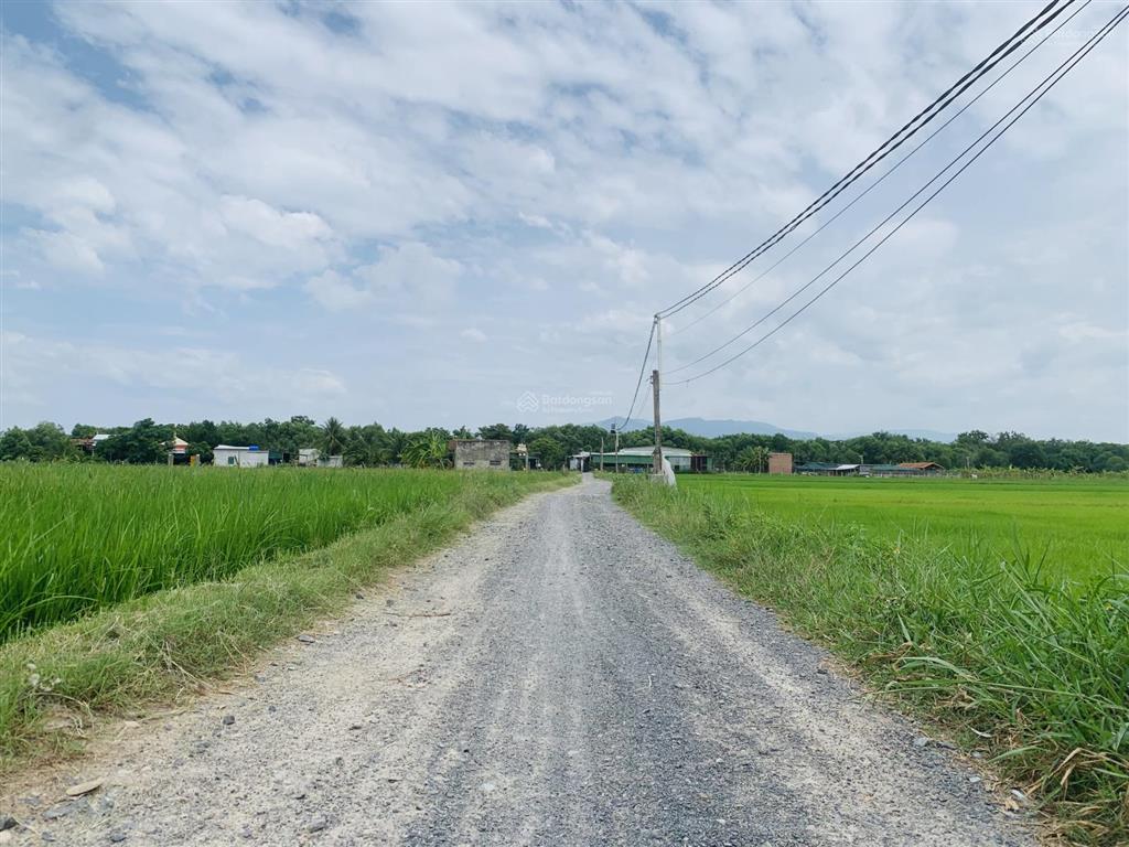 Cần bán lô đất giá 1tr/m2, đất cây hàng năm, bám đường liên thôn 4m, ngang 55m tại bắc cam ranh