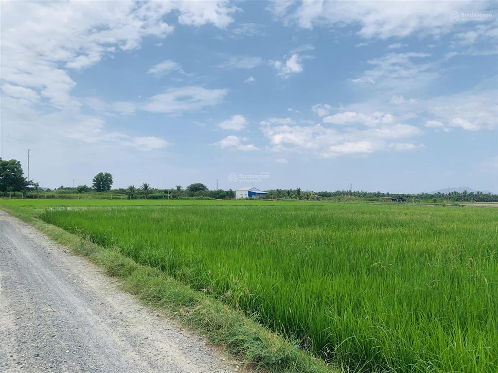 Cần bán lô đất giá 1tr/m2, đất cây hàng năm, bám đường liên thôn 4m, ngang 55m tại bắc cam ranh