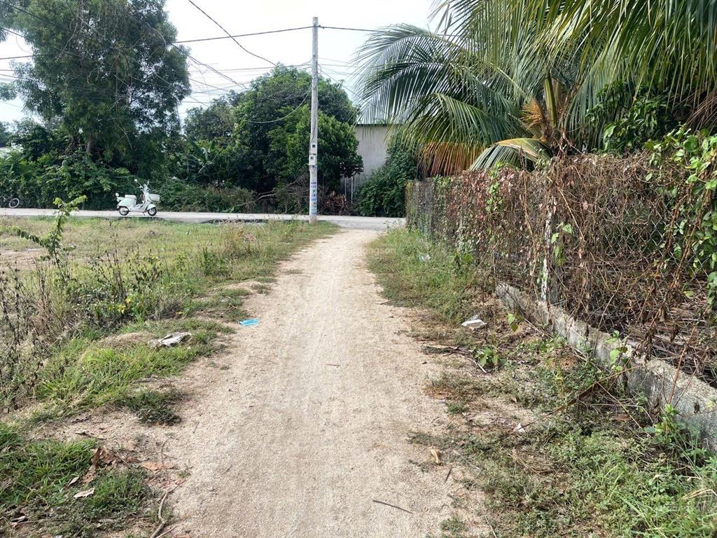 Diện tích 100,4m2 thổ cư 100% | hướng đông nam | đường ô tô | giá chỉ 980 triệu