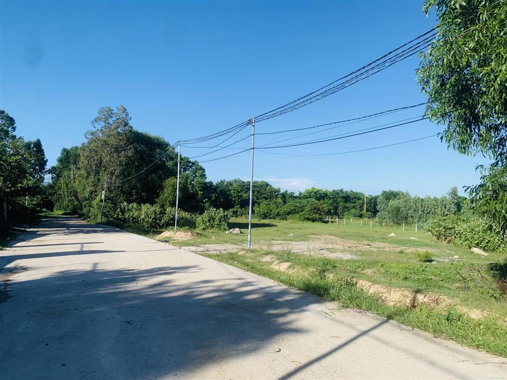 Bán đất bắc cam ranh 2.559,7m2 full thổ cư 100%, ngang 85m, sổ đỏ sẵn sang tên công chứng ngay