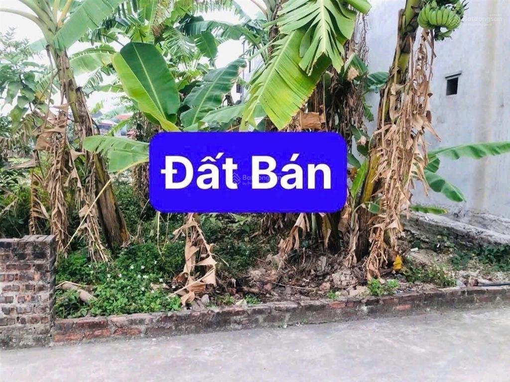 Bán đất tại xã minh phú, 1,35 tỷ, 60m2, mặt tiền 5m đẹp xuất sắc