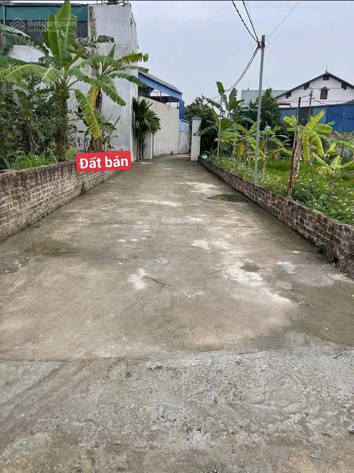 Bán đất tại xã minh phú, 1,35 tỷ, 60m2, mặt tiền 5m đẹp xuất sắc