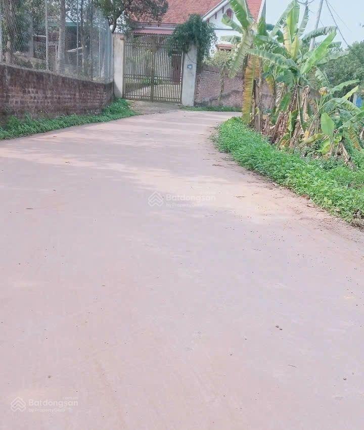 Đất nền đẹp tại bắc sơn, huyện sóc sơn, hà nội, giá 1,05 tỷ, diện tích 124m2