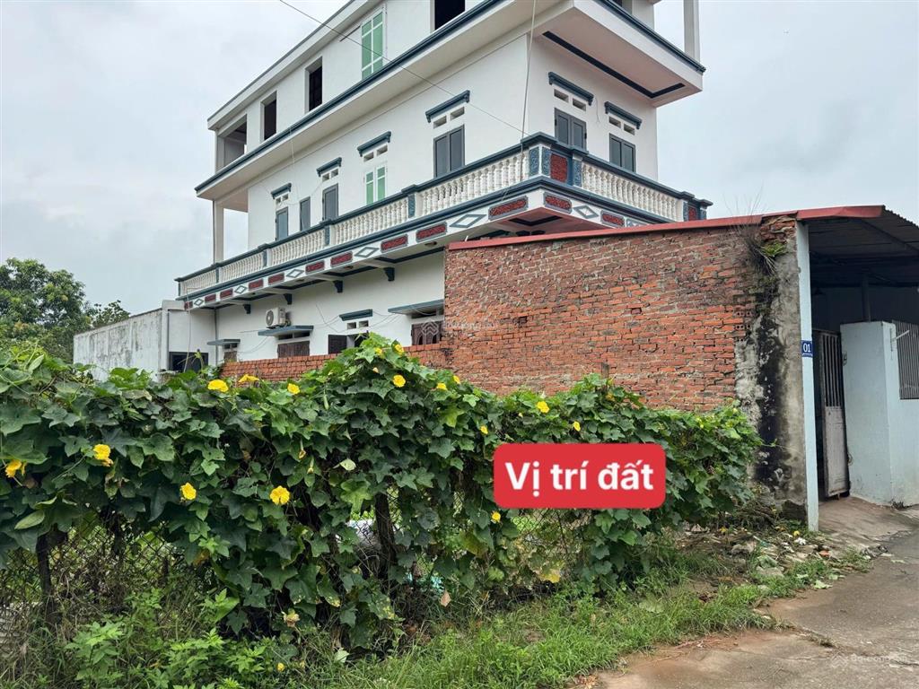 Bán đất tại yên ninh, 2,2 tỷ, 60m2 full thổ cư  ngõ thông oto