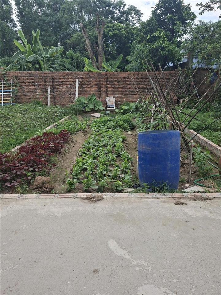 Bán đất lạc nông, 2,2 tỷ, 46,1 m2, giá tốt uy tín  gần kcn nội bài