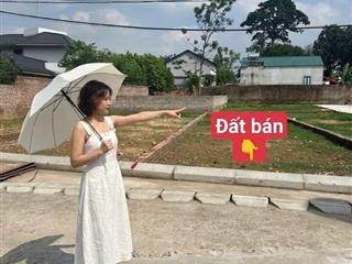 Bán đất tại thôn thắng trí, xã minh trí, huyện sóc sơn, 2,26 tỷ, 116 m2