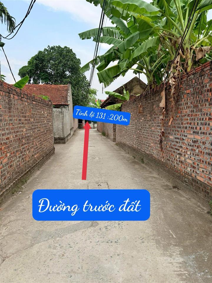 Đất siêu hot tại đại tảo, 1,55 tỷ, 62m2, sổ đỏ đầy đủ