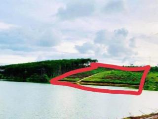 Bán đất bờ hồ 10.000m2 vuong vuc. view đẹp thoang mat. thich hop làm trang trai nghi dưỡng.