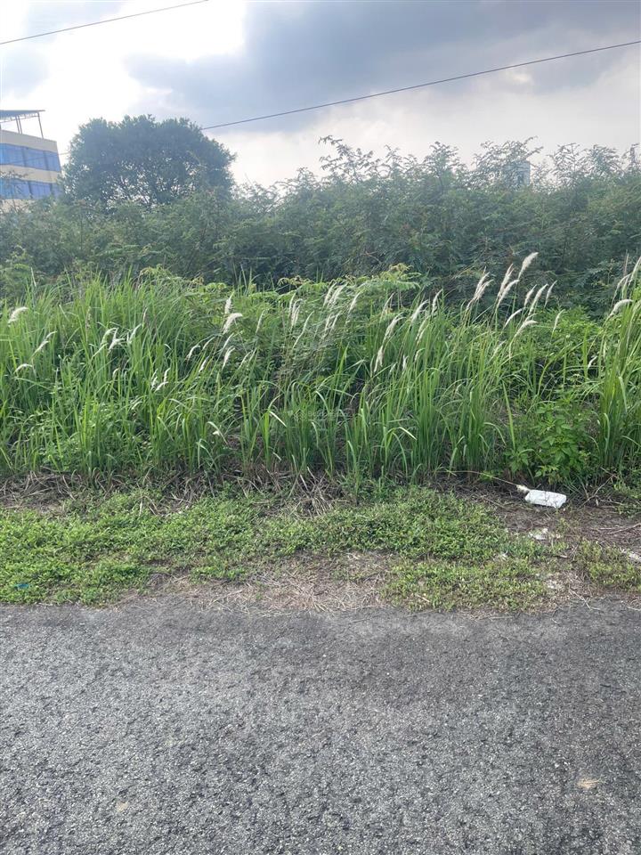 Bán đất nền dự án khu dân cư sở văn hóa thông tin, 7,1 tỷ, 100m2, hồ chí minh