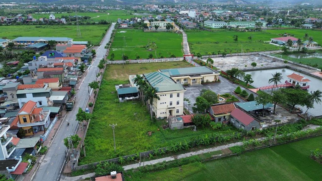 Bán thửa đất 3000m2 siêu rộng tại mạo khê quảng ninh xây biệt thự, khu nhà trọ