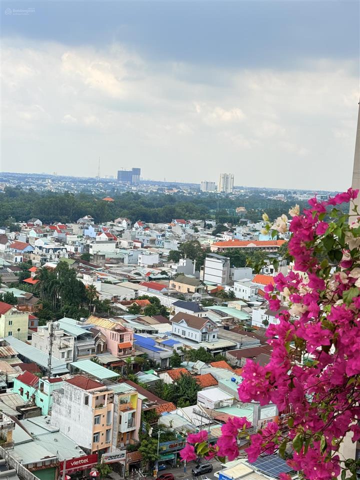 Cho thuê studio full nội thất view đà lạt tại opal skyline