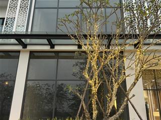 Bán shophouse khối đế 3 tầng 218,6m2