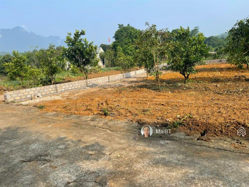 500m2 vị trí trung tâm, gần dt87 , giá 12tr/m