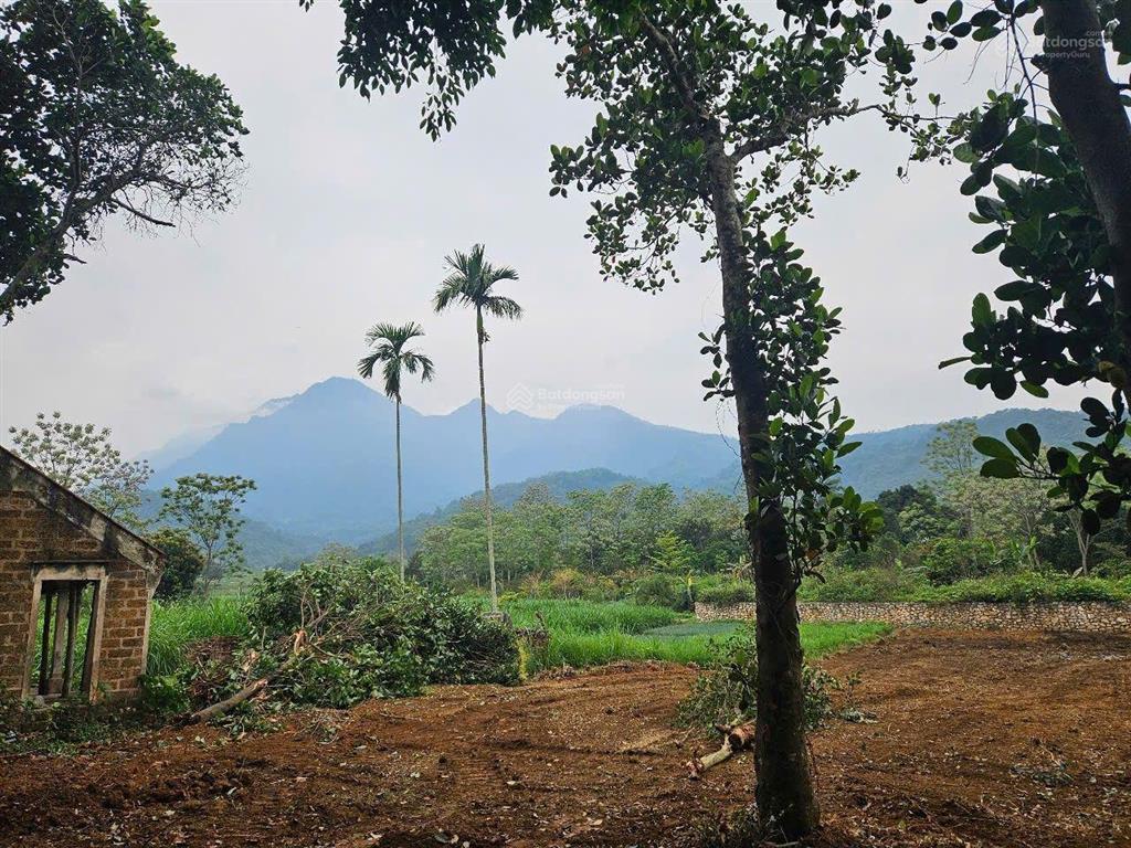 Lô đất 647m2 có ao, view thoáng đẹp