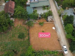 300m2 nhà dân cắt bán, vị trí đẹp, kích thước lý tưởng