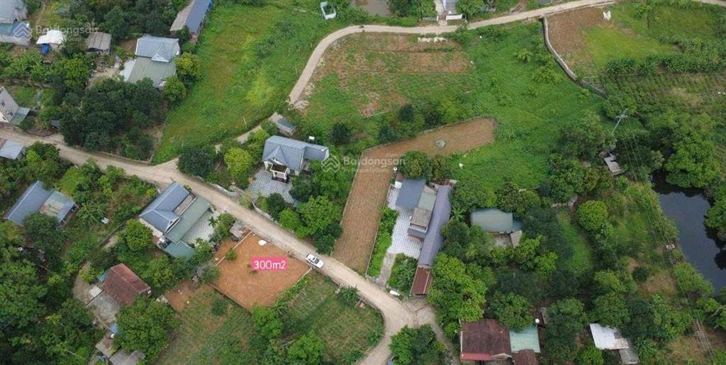 300m2 nhà dân cắt bán, vị trí đẹp, kích thước lý tưởng