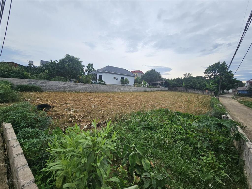Bán lô góc 675m2 cạnh nhà văn hóa thôn