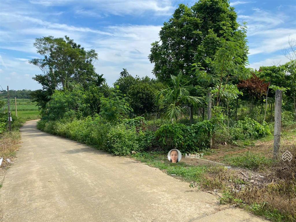 600m2 có 300m2 đất ở giá 3,9 tỷ, vuông vắn, view núi, đất cao thoáng