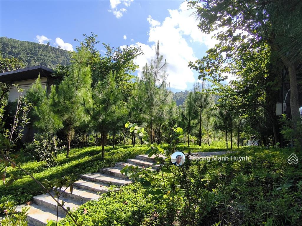 Bán kdlnd thung lũng ngọc linh 1600m2 chào 16 tỷ đà lạt thu nhỏ cách hà nội hơn 30km sổ đỏ lâu dài