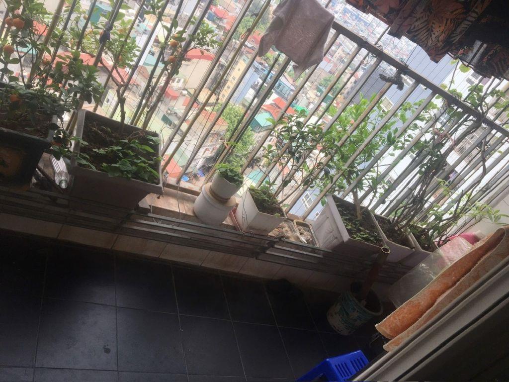 Bán gấp chung cư 250 Minh Khai, Dt 114m2, 3 ngủ 2 wc, giá chào 8.5 tỷ.